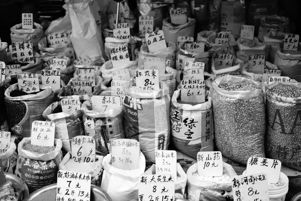 2025品牌新媒体运营全案策划：从账号定位到内容执行的关键策略