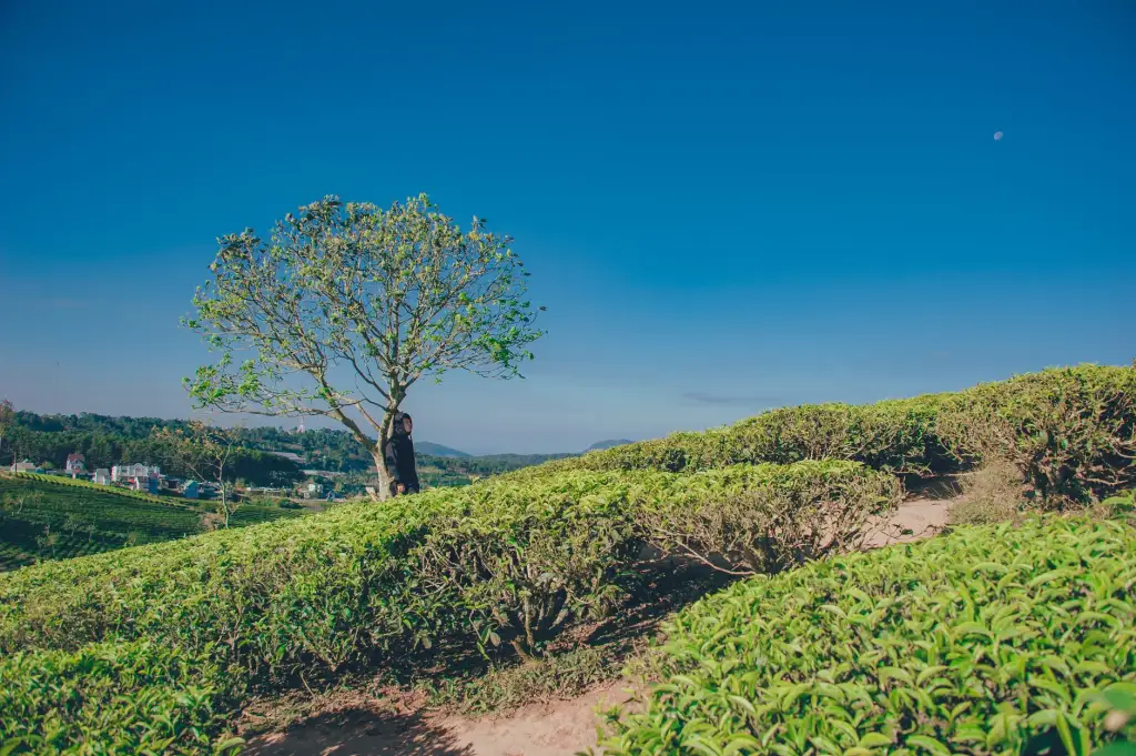 2024年企业新媒体运营服务对比：志宁传媒内容营销与执行能力分析